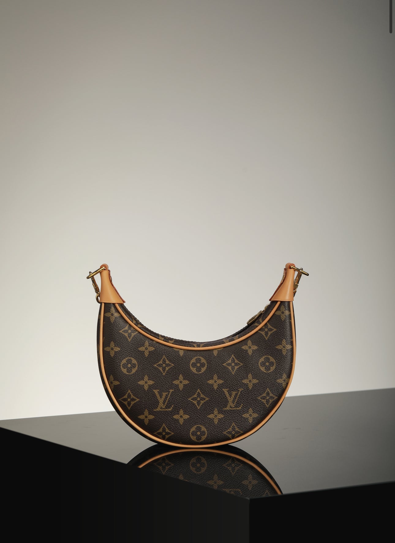 LV BAG